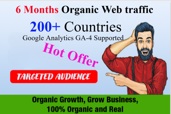 Buy Cheap 6 Months Organic Web Traffic